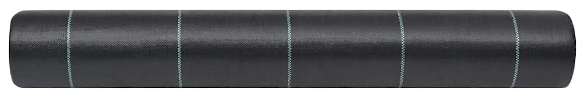 Panza pentru mulcire VidaXL 313062 1x100 (Black)