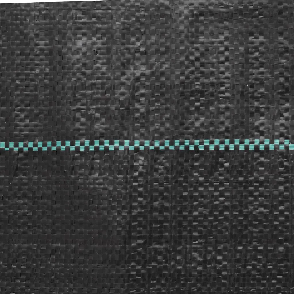 Panza pentru mulcire VidaXL 4005194 2x25m (Black)