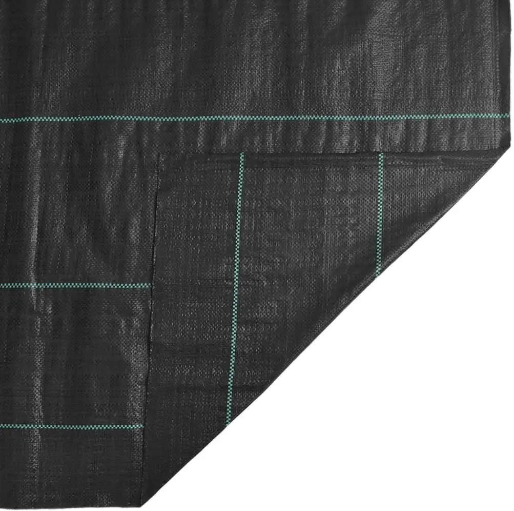 Panza pentru mulcire VidaXL 4005194 2x25m (Black)