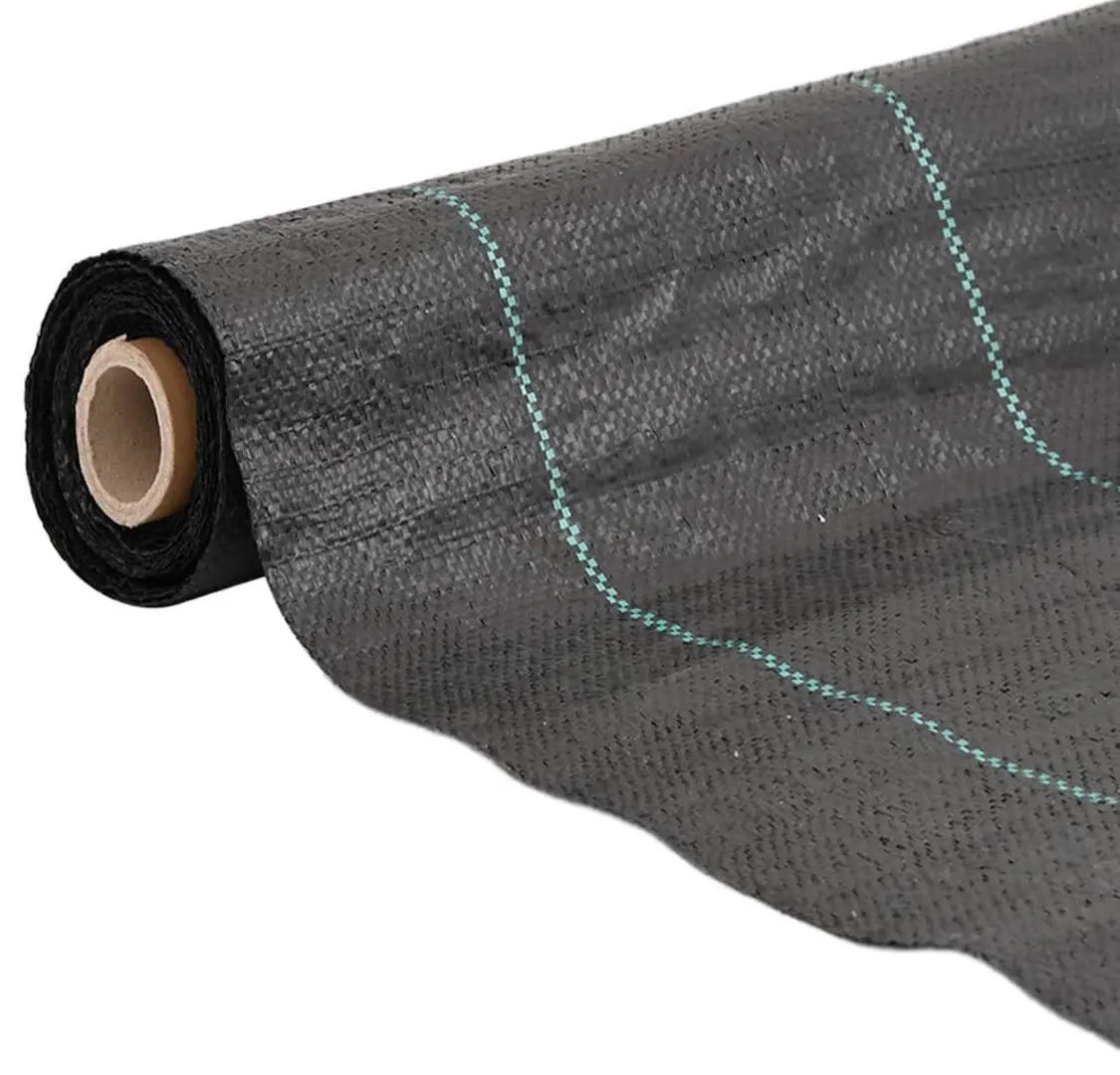 Panza pentru mulcire VidaXL 4005195 2x50 (Black)