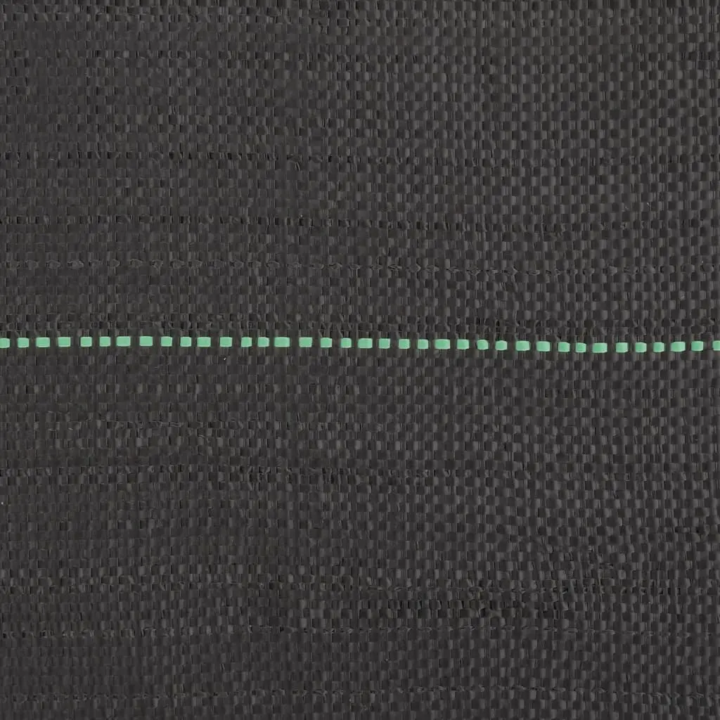 Panza pentru mulcire VidaXL 4005215 1x25m (Black)