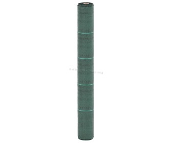 Panza pentru mulcire VidaXL 4005266 2x100 (Green)