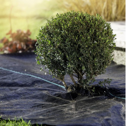 Агроткань от сорняков Windhager 06751 5x2m (Black) Thumb