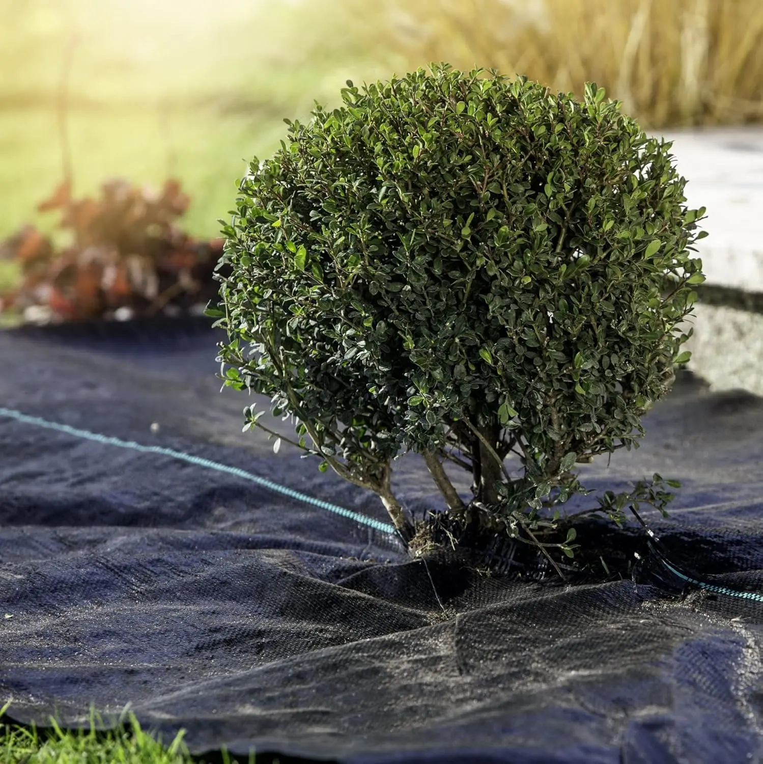 Агроткань от сорняков Windhager 06751 5x2m (Black)