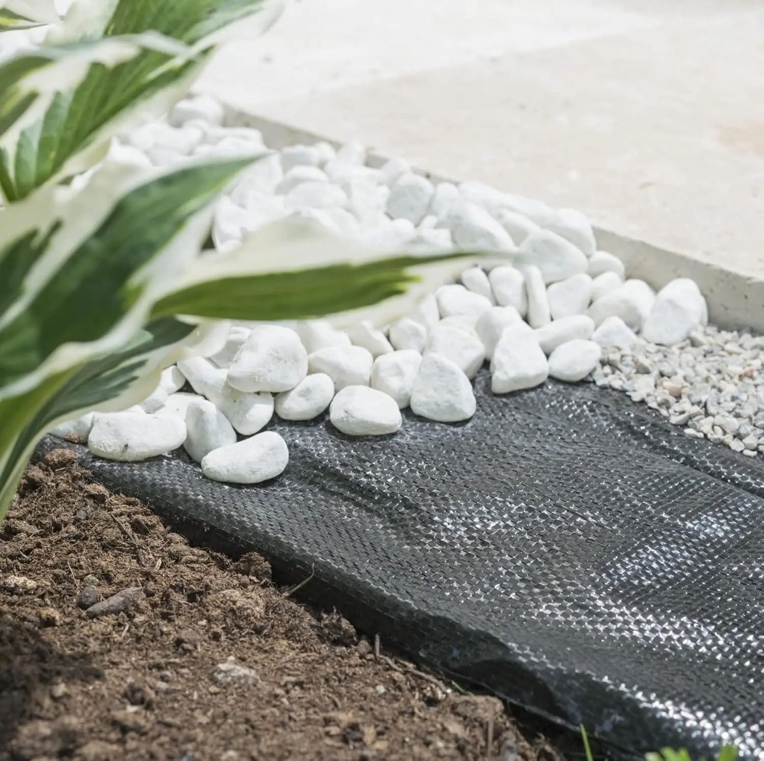 Агроткань от сорняков Windhager 06751 5x2m (Black)