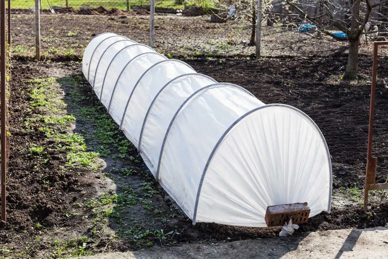 Mini sera Chomik EVA5900 (Transparent)