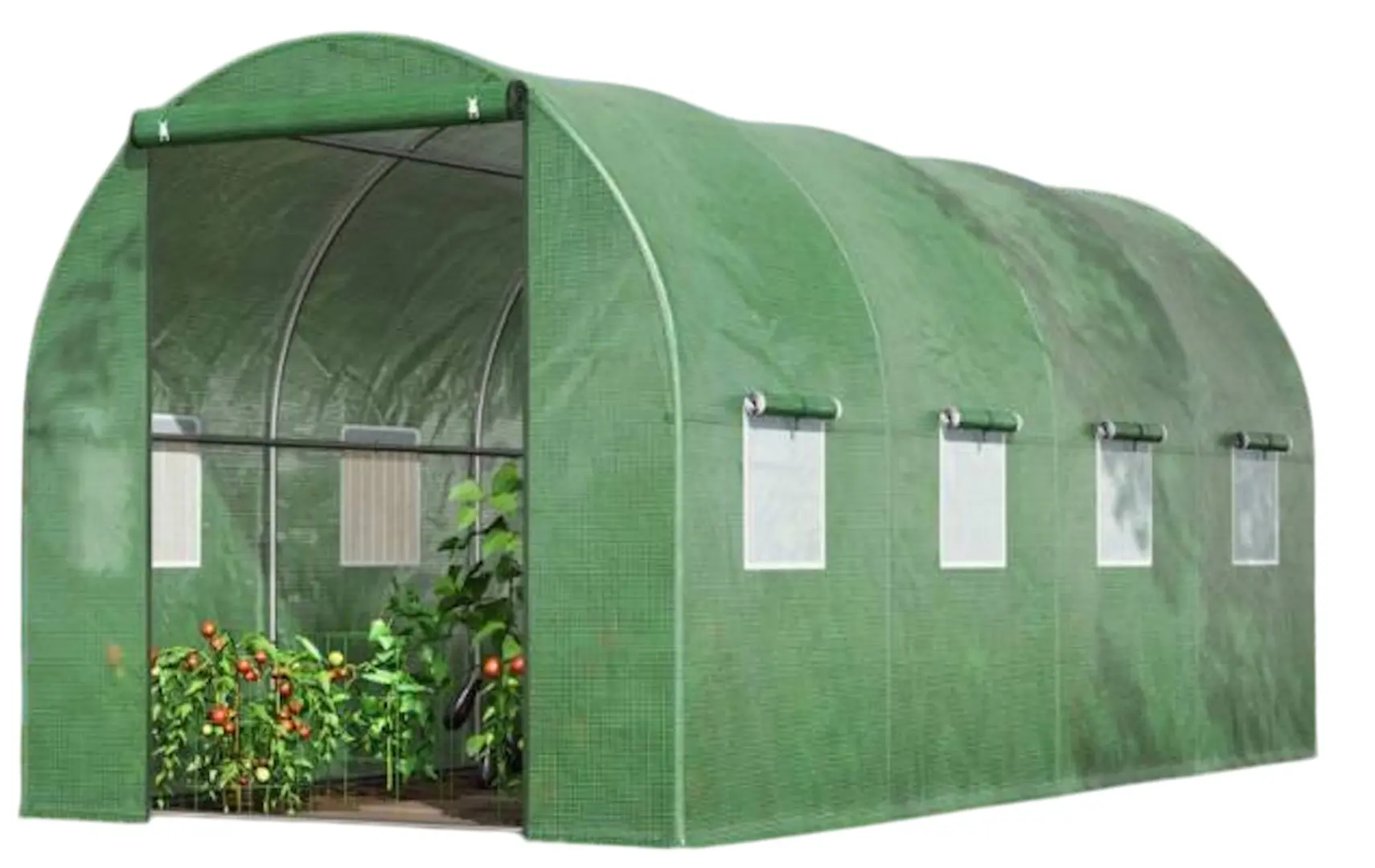 Sera Das Company 5x2.5x2 (Green)