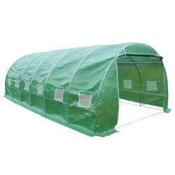 Sera Das Company 5x3x2 (Green)