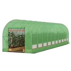 Sera Das Company 8x3x2.5 (Green)