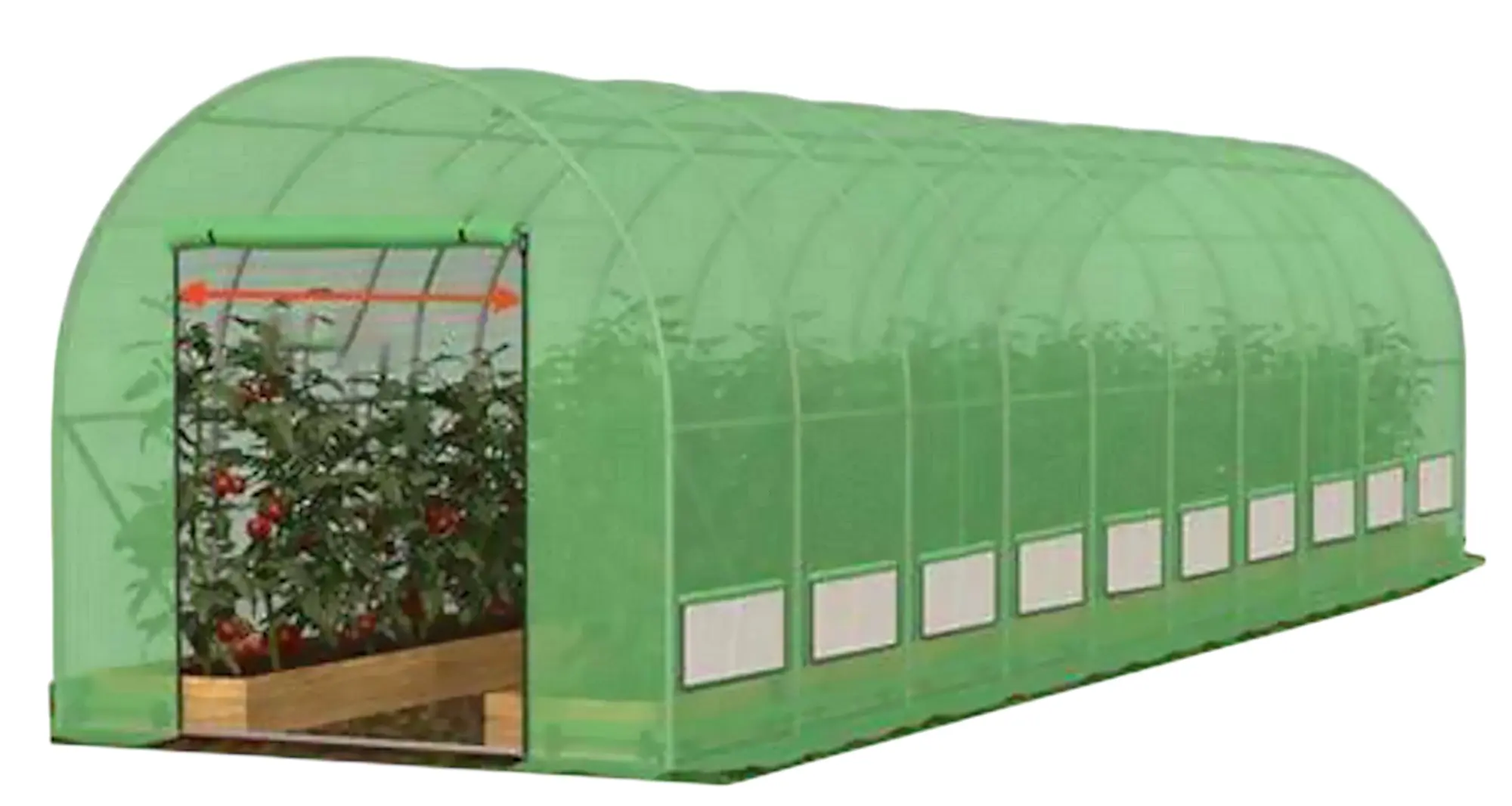 Sera Das Company 8x3x2.5 (Green)