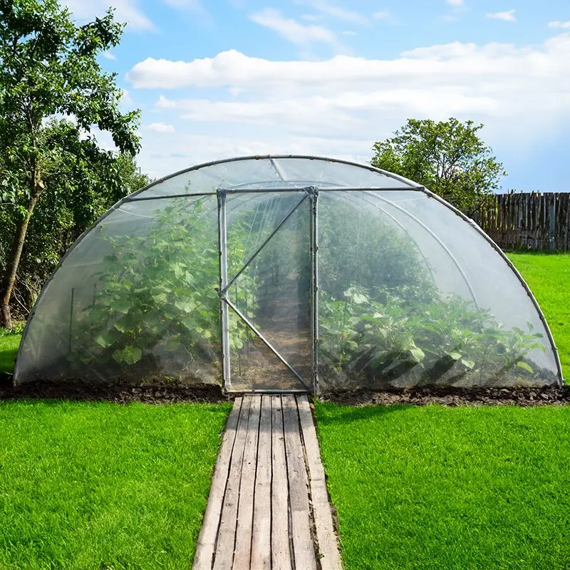 Sera de gradina Demetra 33811 8x4.5x2.5m (Transparent)