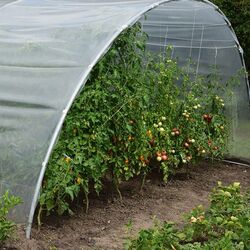 Sera de gradina Demetra 33811 8x4.5x2.5m (Transparent) Thumb