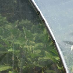 Садовая теплица Demetra 33809 4x4.5x2.5m (Transparent) Thumb