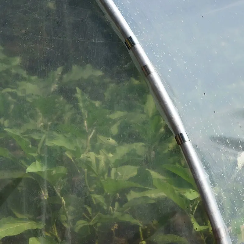 Sera de gradina Demetra 33812 10х4.5х2.5m (Transparent)