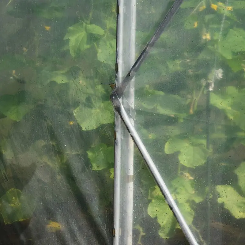 Садовая теплица Demetra 33813 12x4.5x2.5m (Transparent)