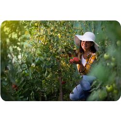 Sera gradina Plonos 4910-A 2х3m (Green) Thumb