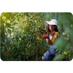 Садовая теплица Plonos 4914-A 2х3.5m (Green) Thumb