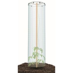 Мини-теплица Prosperplast IPOC400M 383798 28.5x51 (Transparent)