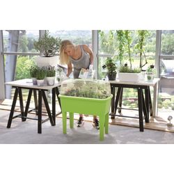 Переносной парник Prosperplast Respana Planter Set 268064 (Green) Thumb