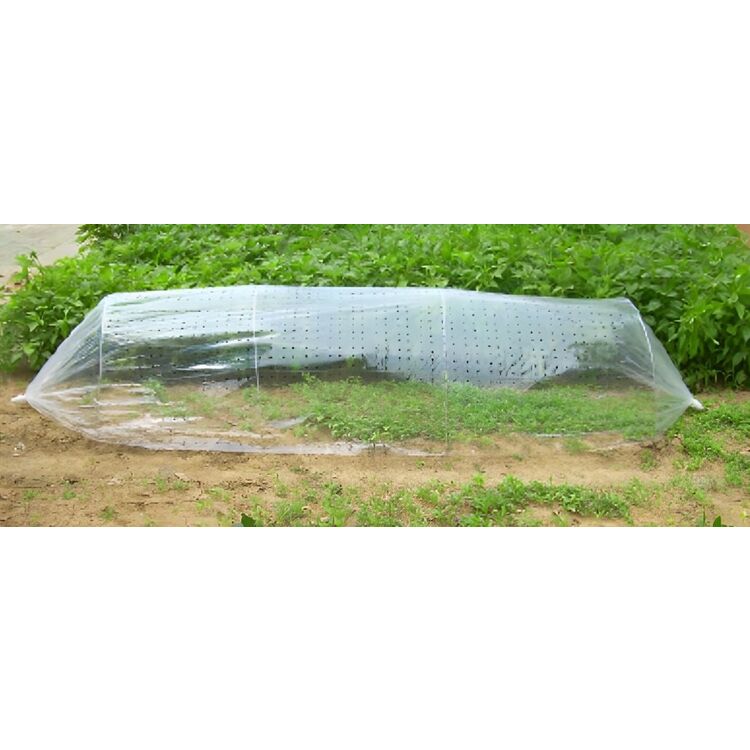 Парник Strend Pro Garden 217771 310x100 (Transparent)