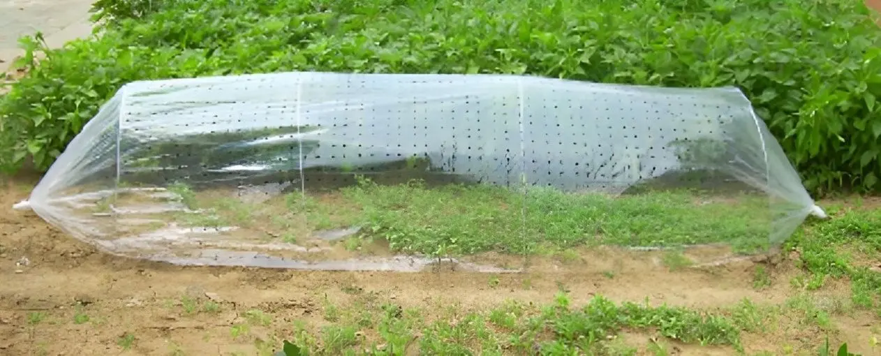 Sera de gradina Strend Pro Garden 217771