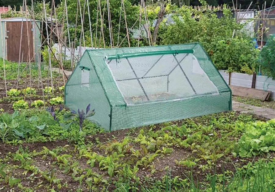 Sera de gradina Strend Pro Greenhouse 2172890 (Green)