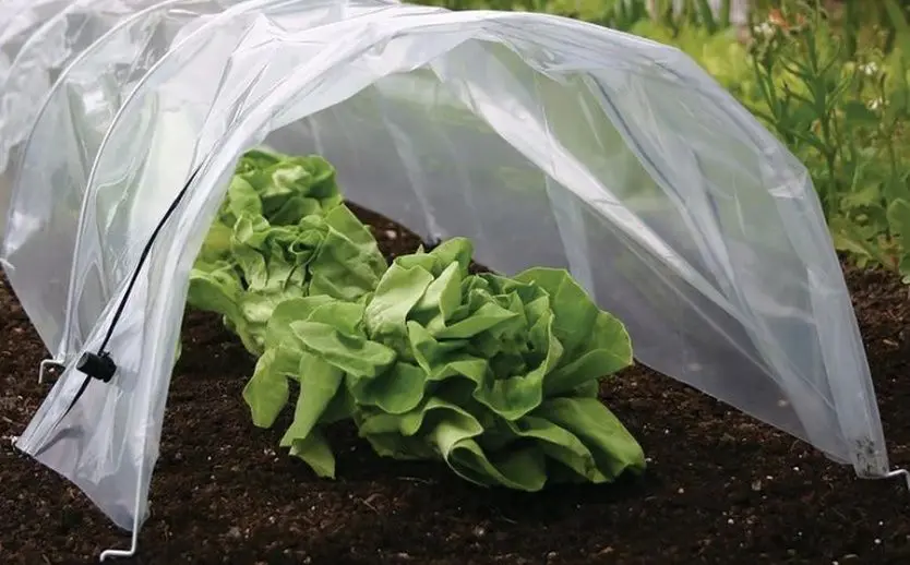 Sera de gradina Strend Pro Greenhouse 2172892 (White) - 3