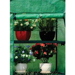 Sera de gradina Strend Pro Greenhouse X082 (Green) Thumb