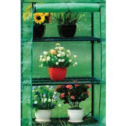 Sera de gradina Strend Pro Greenhouse X083 (Green) Thumb