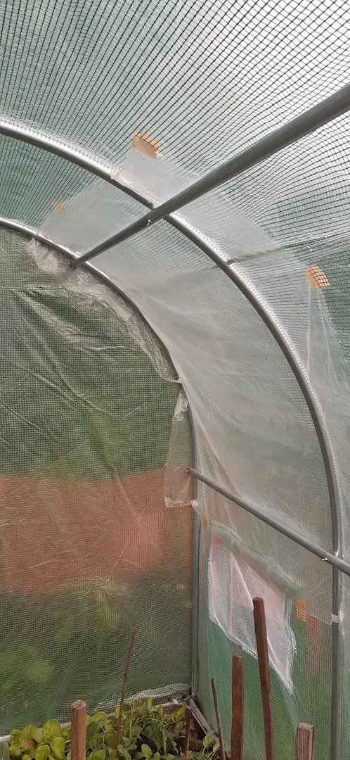 Садовая теплица Tehno MS 10001777 10x4x2.5m (Green)