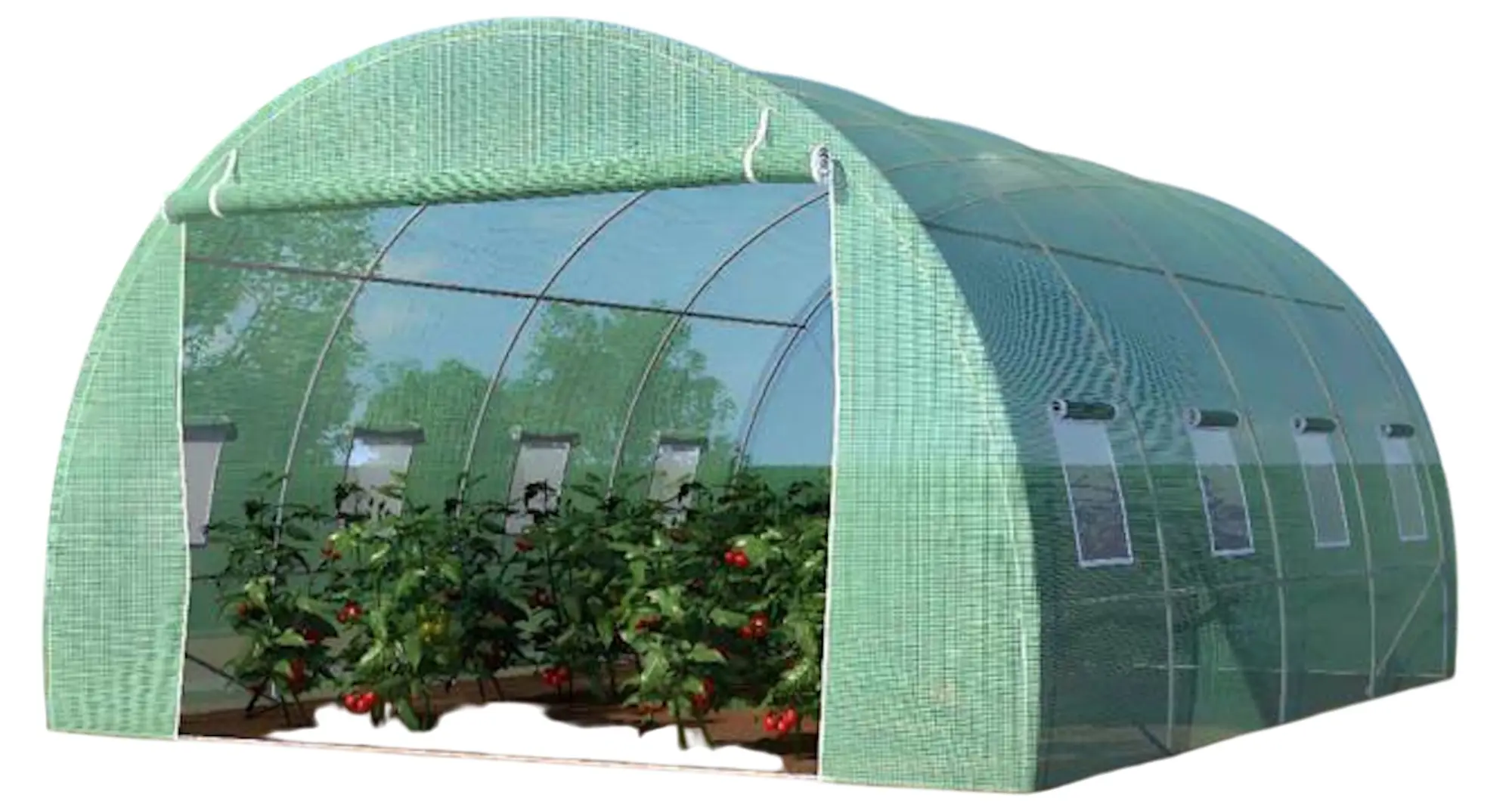 Sera Tehno MS 4x3x2 (Green)