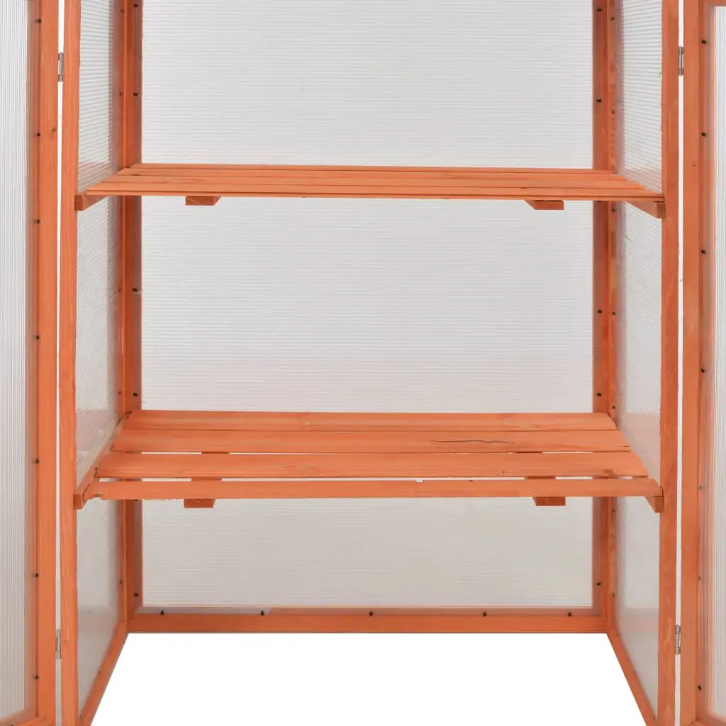 Парник VidaXL 170646 0.75x0.5m (Natural)