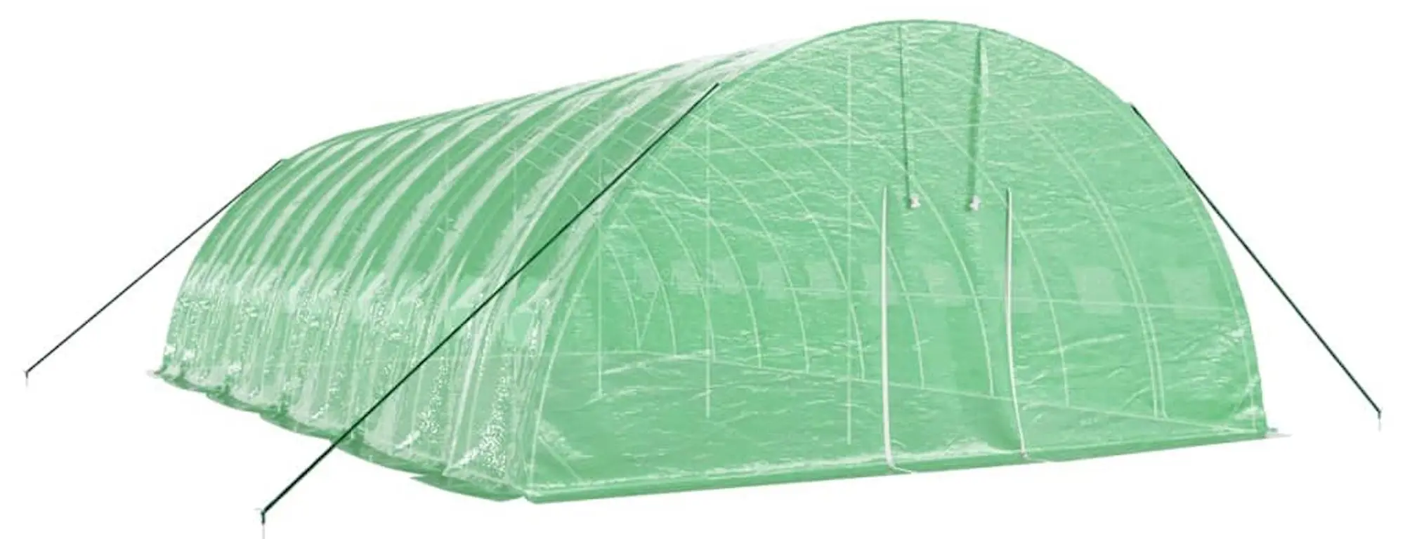 Sera de gradina VidaXL 3188108 10x6x2.85 (Green) - 2