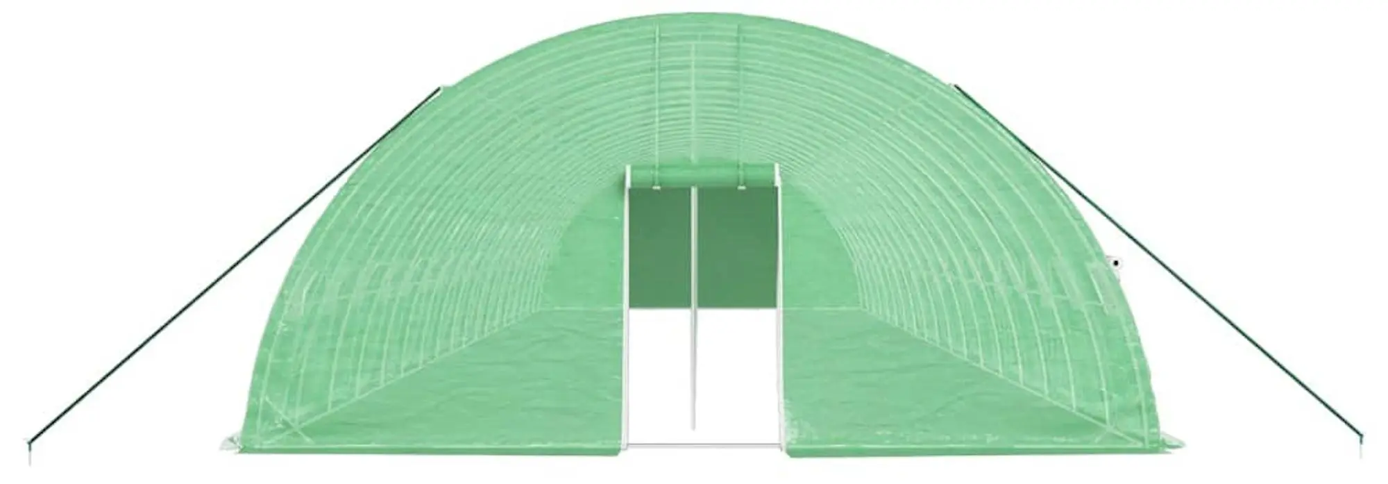 Sera de gradina VidaXL 3188109 12x6x285 (Green) - 4