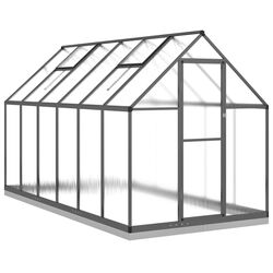 Sera de gradina VidaXL 3266331 3.3x1.7m (Anthracite)