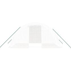 Sera de gradina VidaXL 364083 4x2m (White) Thumb