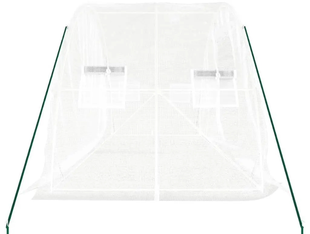 Sera de gradina VidaXL 364087 5x2 (White)