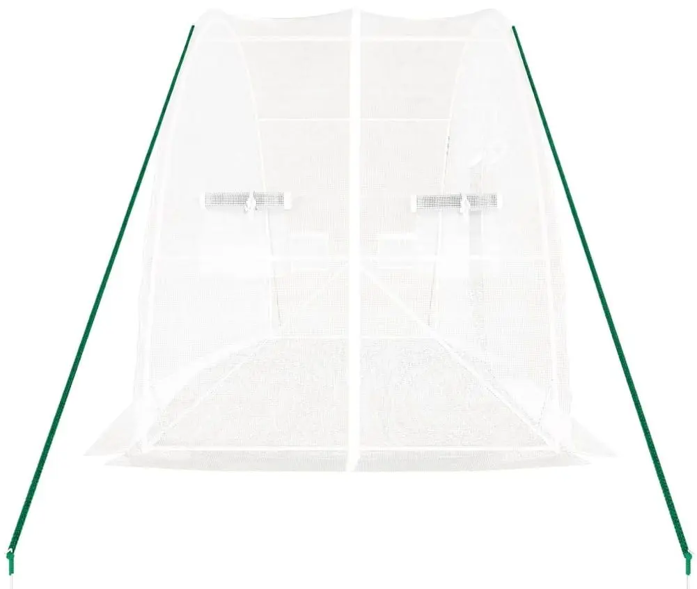 Садовая теплица VidaXL 364091 6x2m (White)