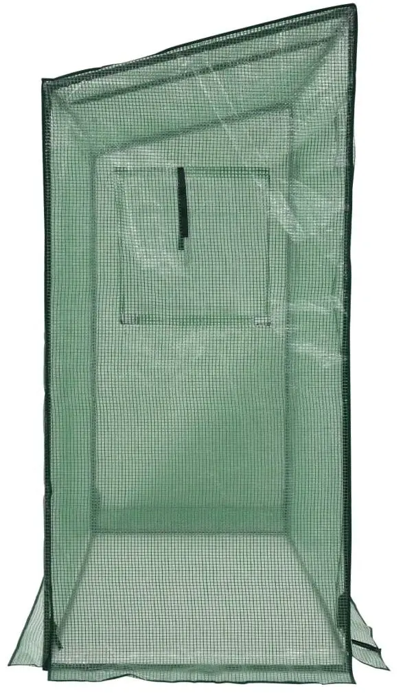 Sera de gradina VidaXL 46918 2x0.8m (Green)