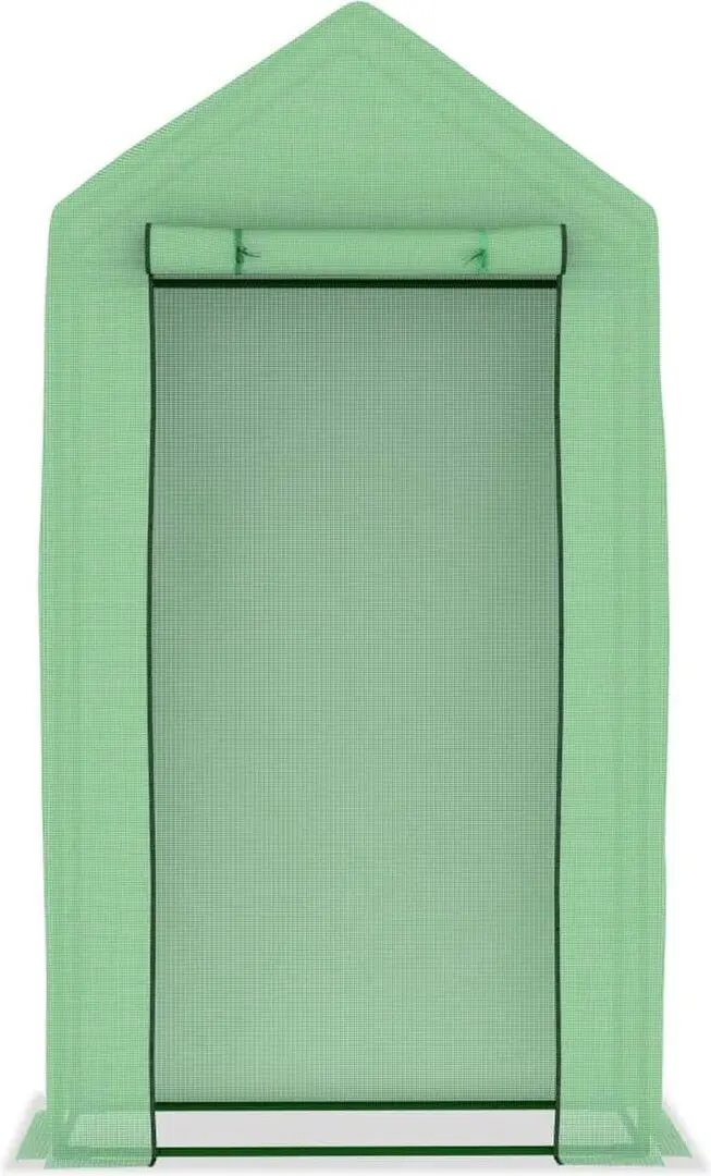 Sera de gradina VidaXL 48168 100x50x190 (Green)