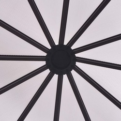 Sera de gradina VidaXL 48836 2.4x2.1m (Brown) Thumb