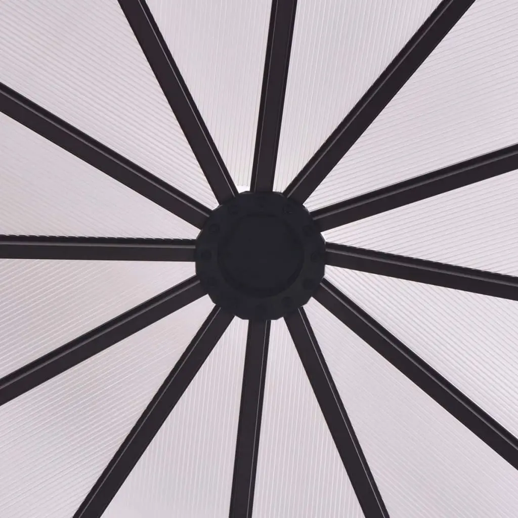 Sera de gradina VidaXL 48836 2.4x2.1m (Brown) - 5