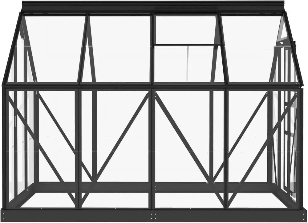 Sticla pentru sera VidaXL 316505 - 4