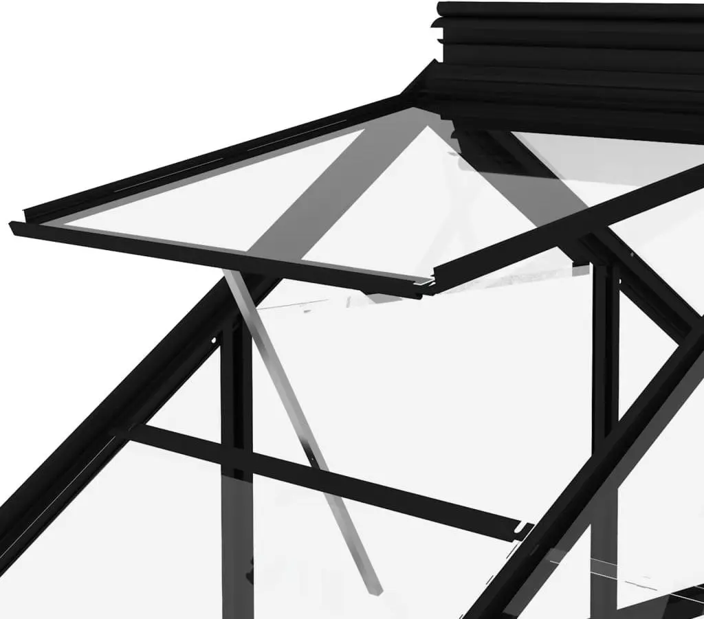 Sticla pentru sera VidaXL 316505 - 5