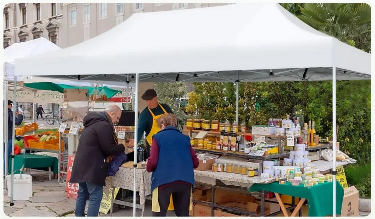 Садовый павильон Costway NP10843WH (White)