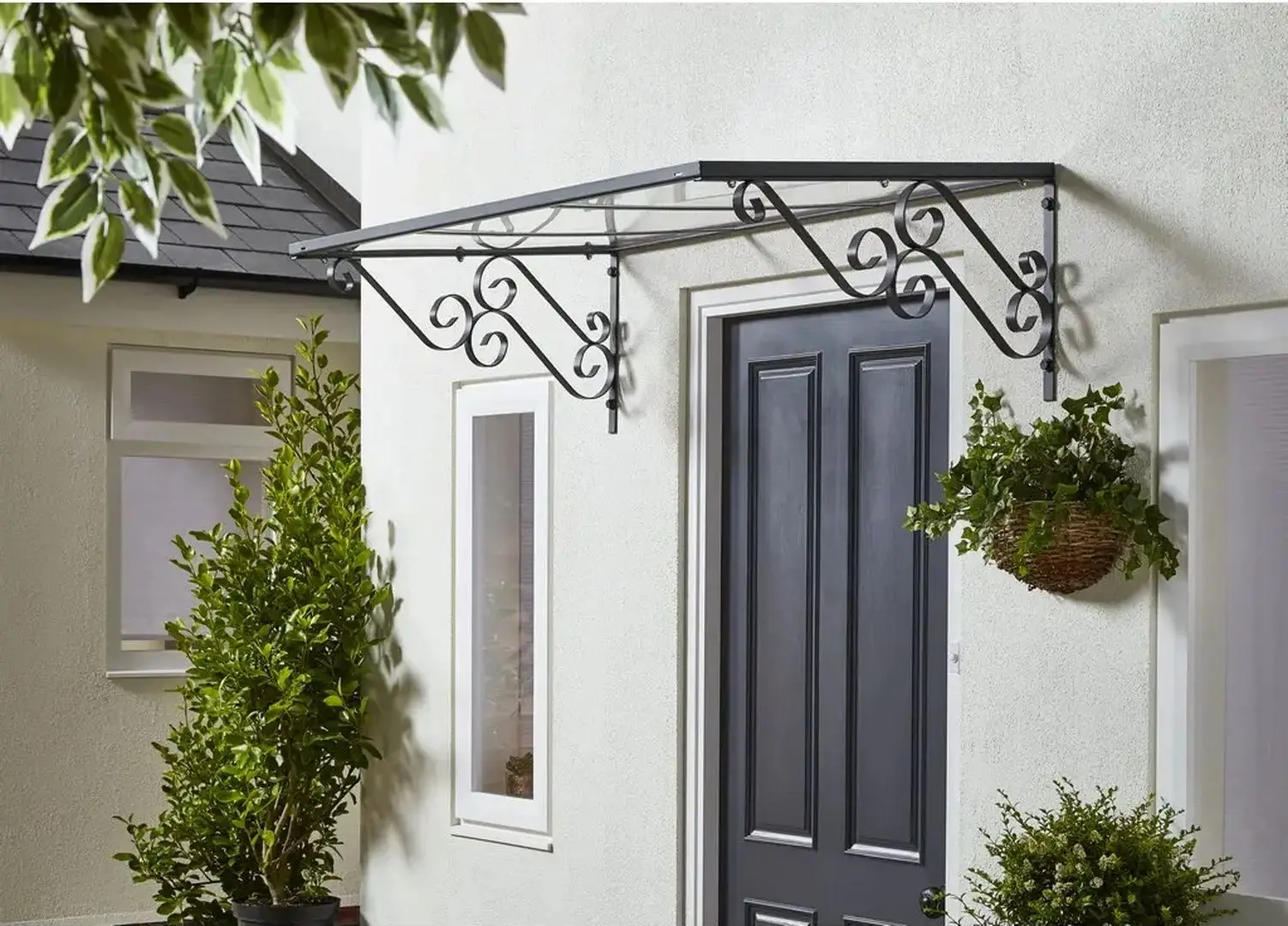 Copertina Geom Rayadito (Transparent/Black)