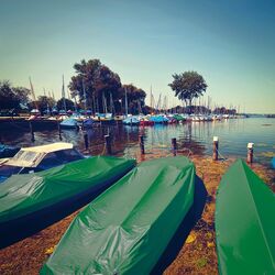 Prelata Greentech 150 gr/m2 6х12 (Green) Thumb