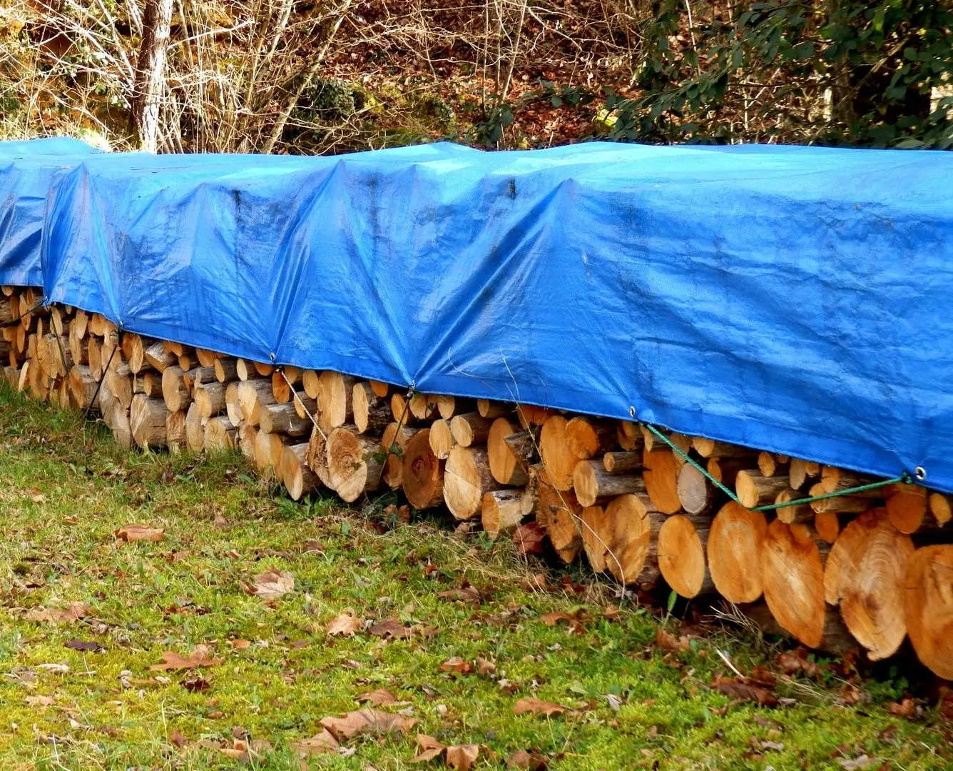 Prelata Greentech 80 gr/m2 6х10 (Blue) - 2