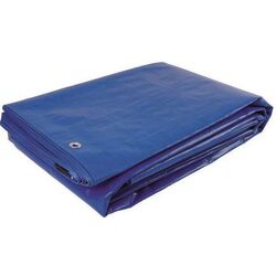 Brezent Greentech 80gr 6x8 (Blue)