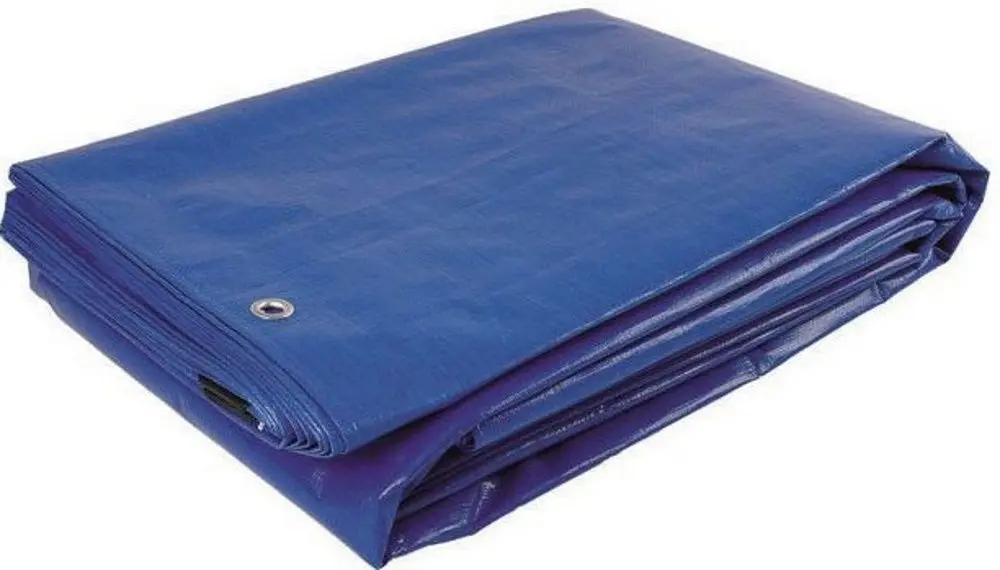 Brezent Greentech 80gr 6x8 (Blue)